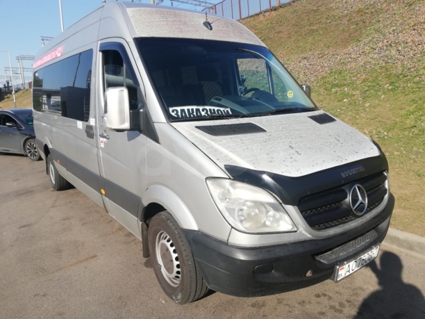 Mercedes-Benz Sprinter 313 CDi, 2009 г.