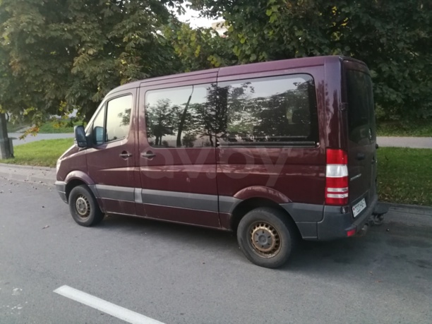 Mercedes-Benz Sprinter 906, 2008 г.