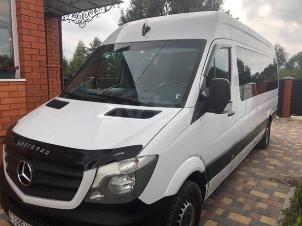 Mercedes-Benz Sprinter 313 CDI, 2015 г.