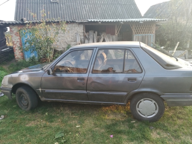Peugeot 309 I · Рестайлинг, 1993 г.
