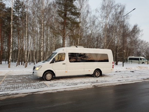 Mercedes-Benz Sprinter Луидор, 2012 г.