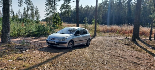 Peugeot 307 I, 2002 г.