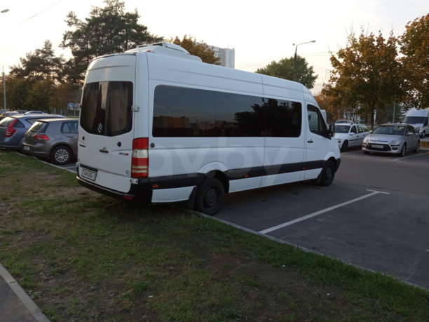 Mercedes-Benz Sprinter 313 CDI, 2008 г.