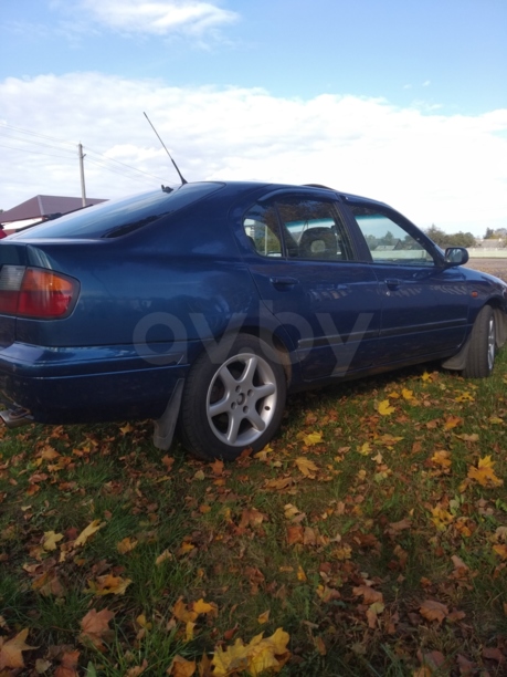 Nissan Primera P11, 1998 г.
