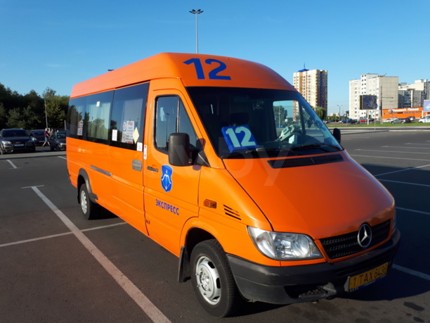Mercedes-Benz Sprinter, 2008 г.