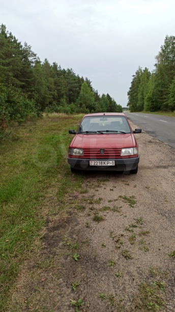 Peugeot 309 I · Рестайлинг, 1992 г.
