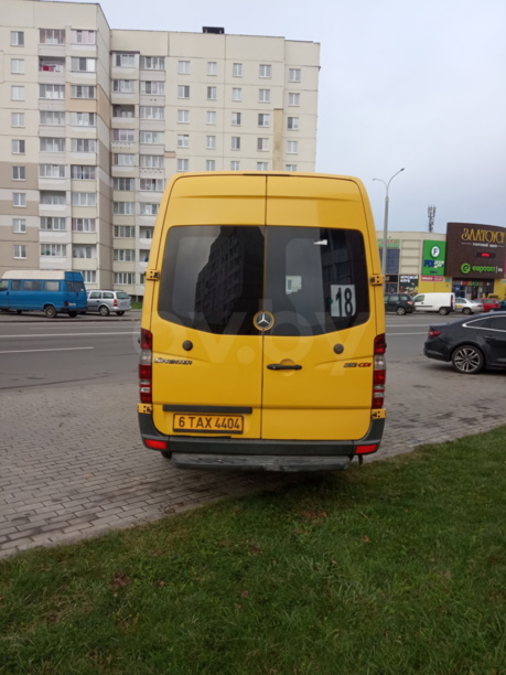Mercedes-Benz Sprinter 313, 2009 г.