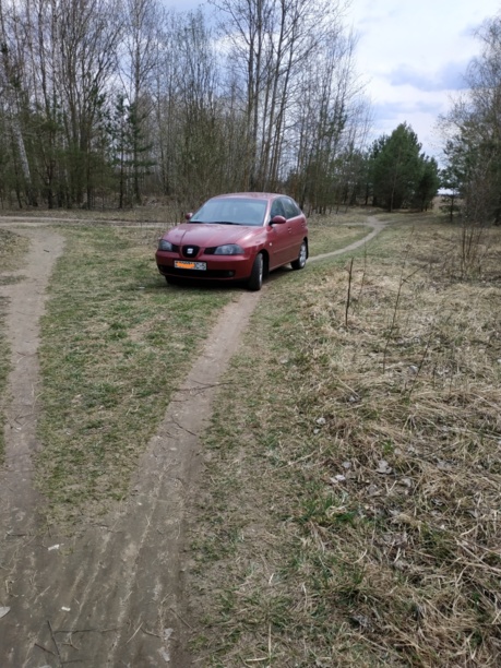 SEAT Ibiza III, 2002 г.