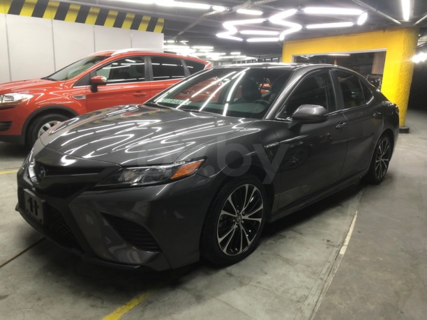 Toyota Camry XV70, 2019 г.