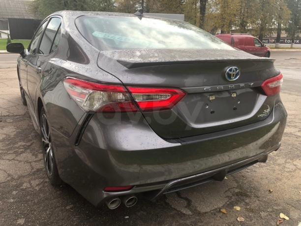 Toyota Camry XV70, 2019 г.