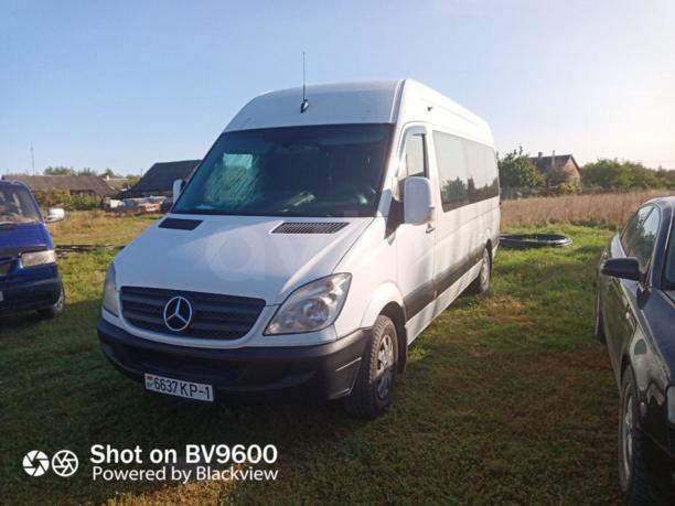 Mercedes-Benz Sprinter Категория В, 7+1, 2008 г.