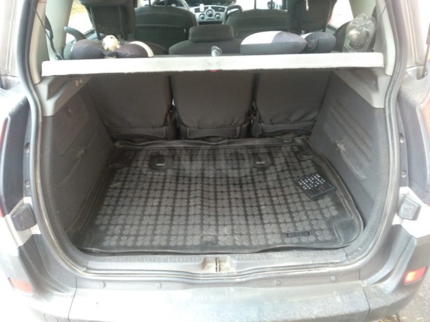 Renault Scenic II, 2008 г.