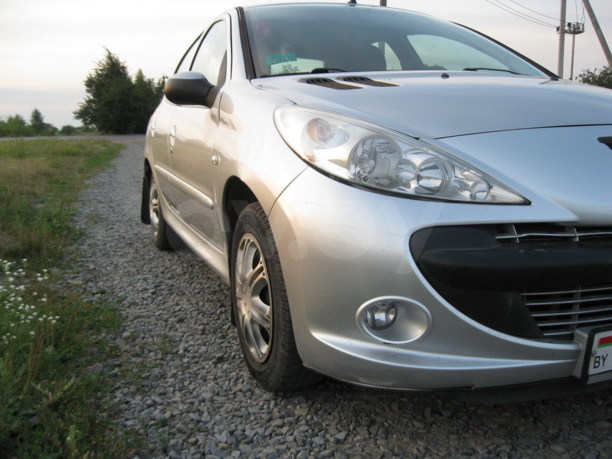 Peugeot 206 Plus, 2010 г.