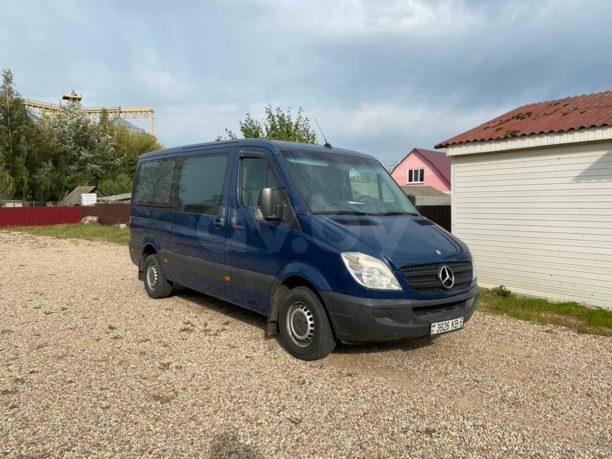 Mercedes-Benz Sprinter 315, 2009 г.