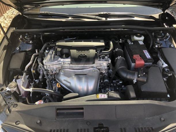 Toyota Camry XV70, 2019 г.