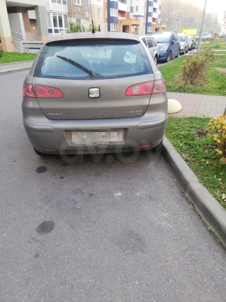 SEAT Ibiza III, 2002 г.