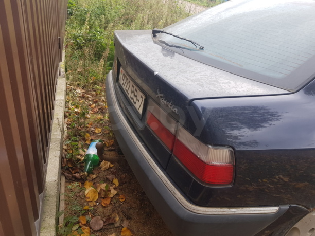 Citroen Xantia X1, 1995 г.