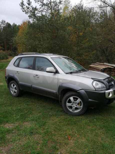 Hyundai Tucson I, 2004 г.