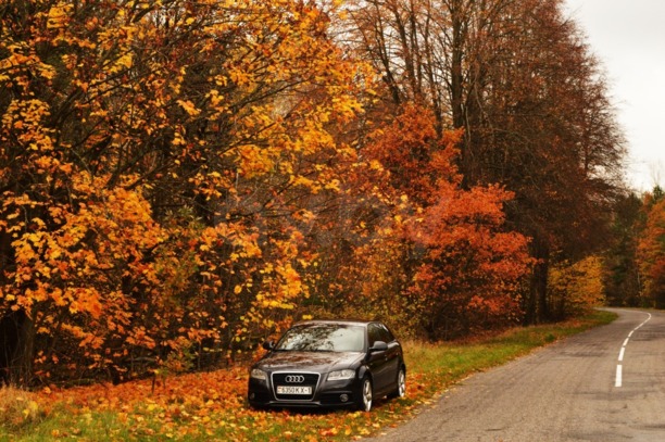 Audi A3 8P, 8PA · 2-й рестайлинг, 2009 г.