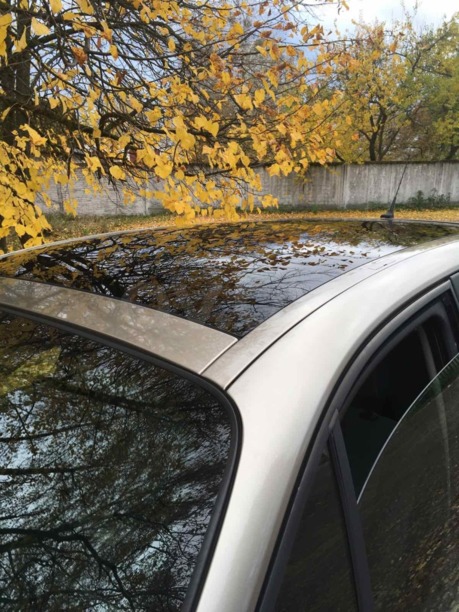 Renault Scenic II, 2008 г.