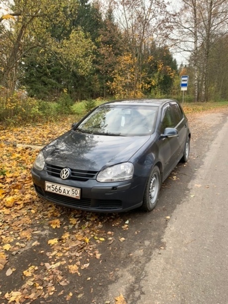 Volkswagen Golf V, 2004 г.