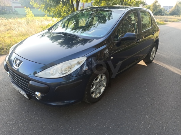Peugeot 307 I · Рестайлинг, 2006 г.