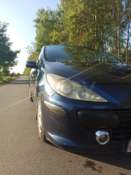 Peugeot 307 I · Рестайлинг, 2006 г.