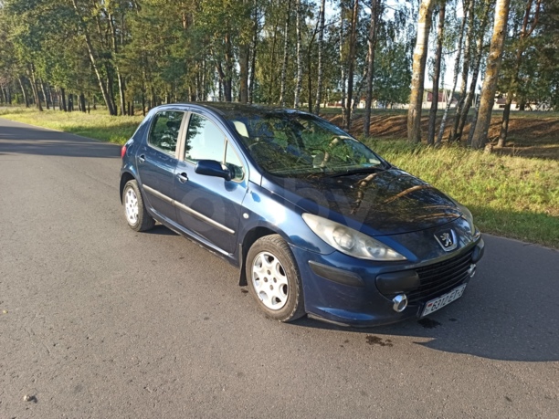 Peugeot 307 I · Рестайлинг, 2006 г.