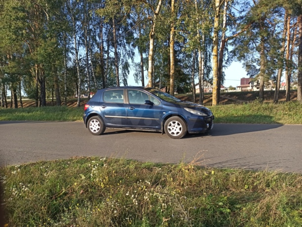 Peugeot 307 I · Рестайлинг, 2006 г.