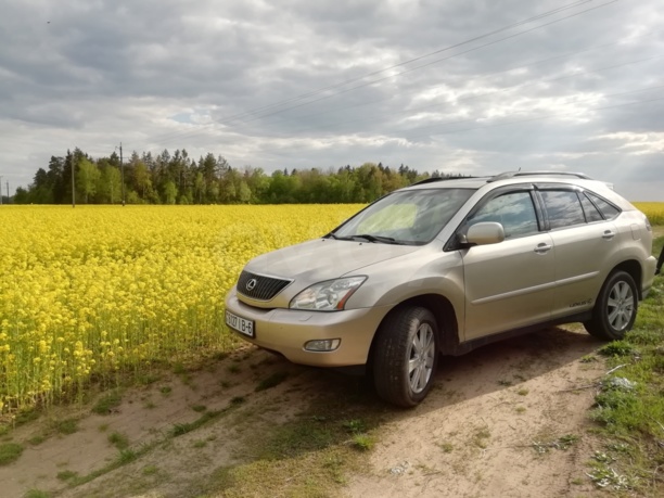 Lexus RX II, 2005 г.