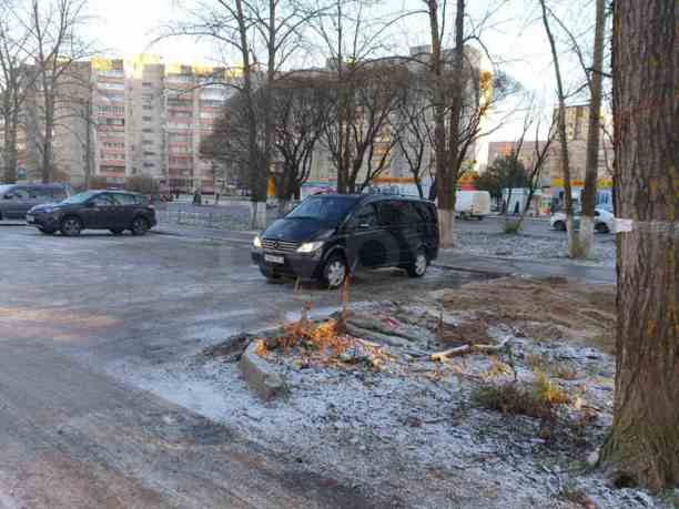 Mercedes-Benz Viano W639, 2008 г.
