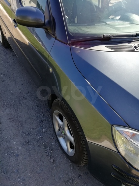 Skoda Roomster I, 2008 г.