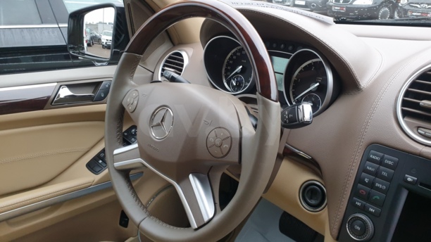 Mercedes-Benz GL-Класс X164 (Рестайлинг), 2009 г.