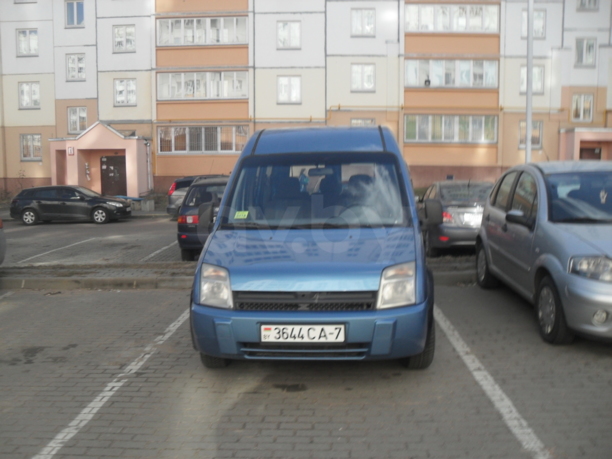 Ford Tourneo Connect I, 2005 г.