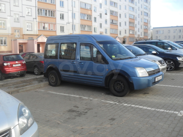 Ford Tourneo Connect I, 2005 г.