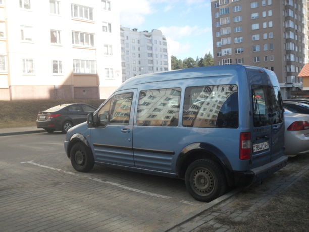 Ford Tourneo Connect I, 2005 г.