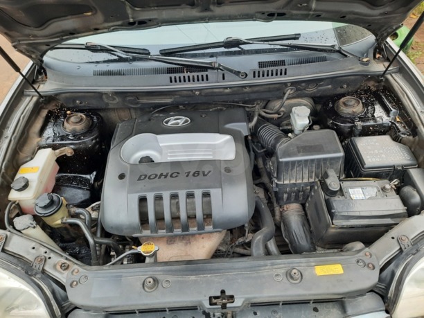 Hyundai Santa Fe SM, 2004 г.