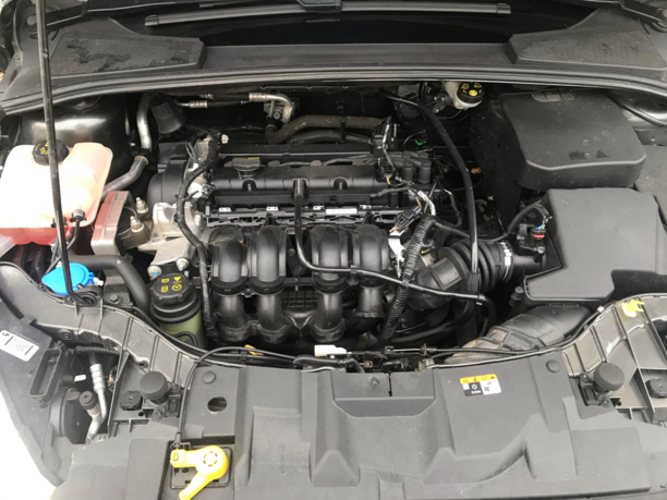 Ford Focus III · Рестайлинг, 2019 г.