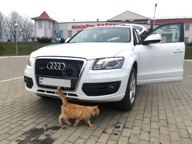 Audi Q5 8R, 2010 г.