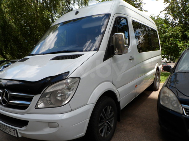 Mercedes-Benz Sprinter Individual 309, 2009 г.