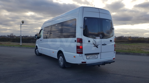 Mercedes-Benz Sprinter Maxi, 2009 г.