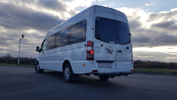 Mercedes-Benz Sprinter Maxi, 2009 г.