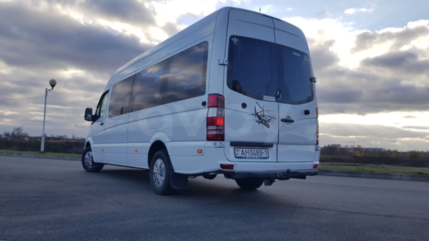Mercedes-Benz Sprinter Maxi, 2009 г.