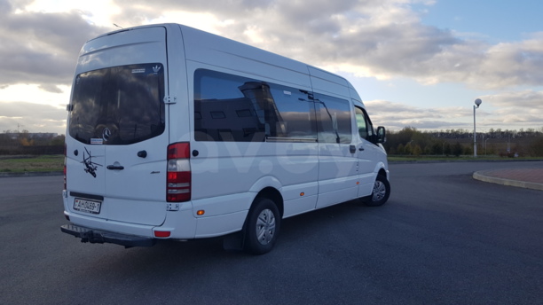 Mercedes-Benz Sprinter Maxi, 2009 г.