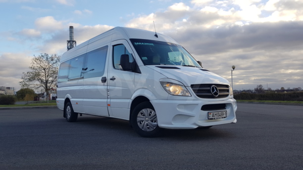 Mercedes-Benz Sprinter Maxi, 2009 г.