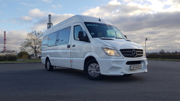Mercedes-Benz Sprinter Maxi, 2009 г.