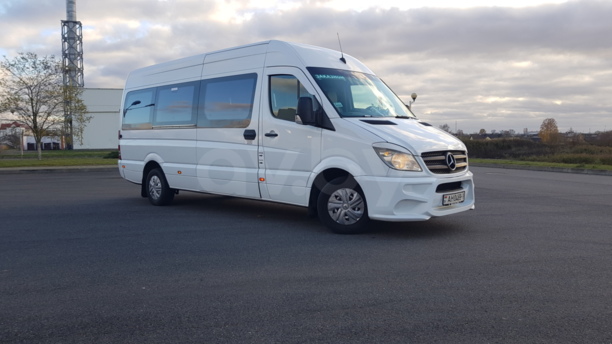 Mercedes-Benz Sprinter Maxi, 2009 г.