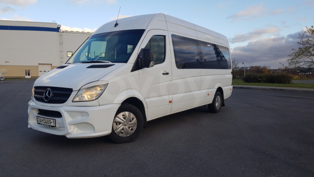 Mercedes-Benz Sprinter Maxi, 2009 г.