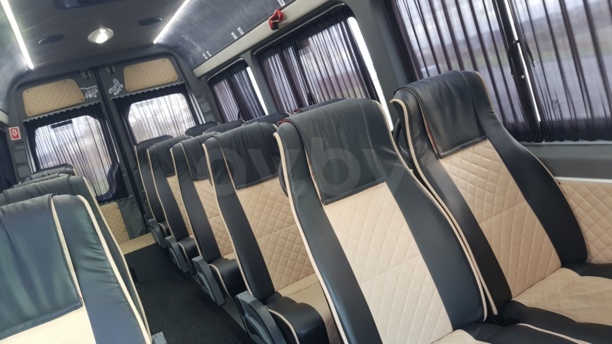 Mercedes-Benz Sprinter Maxi, 2009 г.