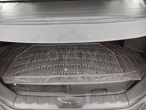 Nissan X-Trail II (T31), 2008 г.